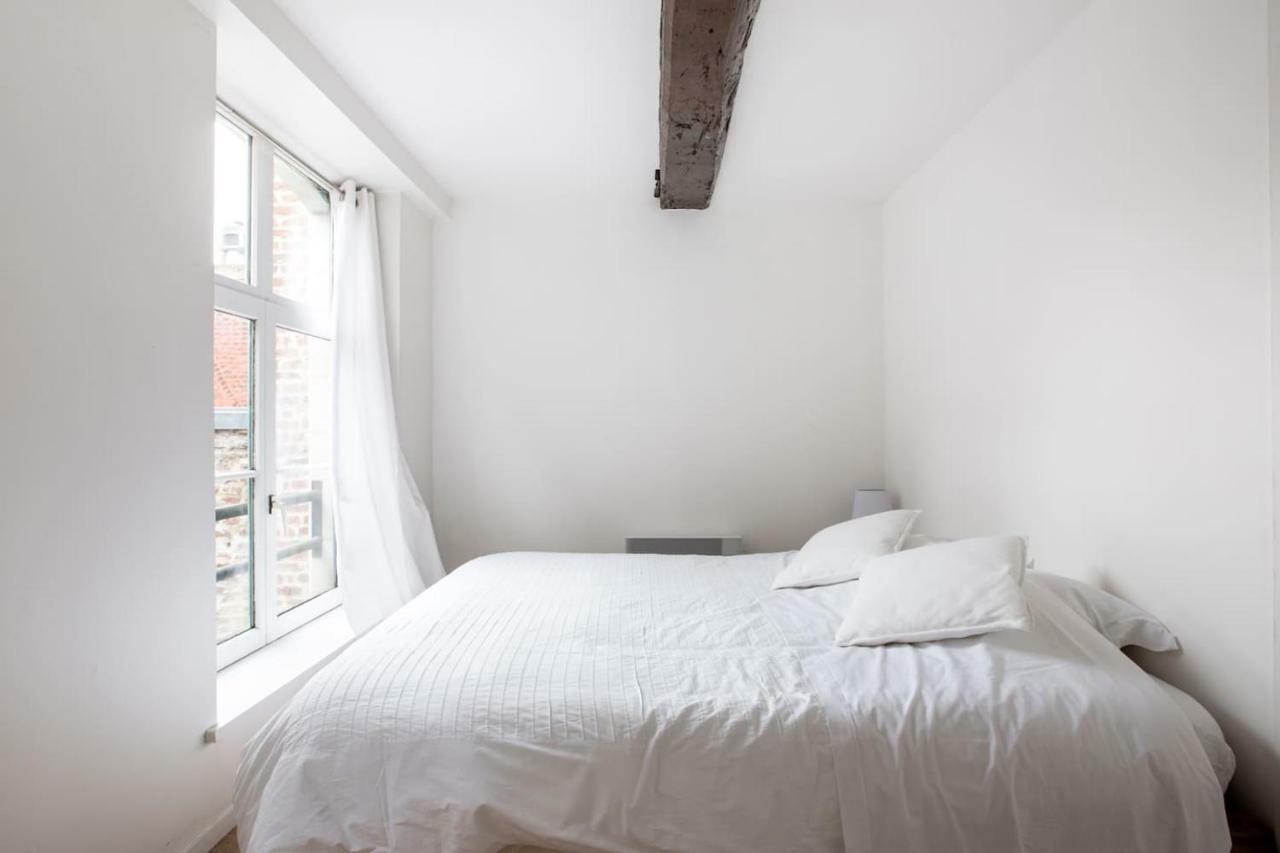 Les 3 Mollettes Du Vieux Lille Apartment Luaran gambar